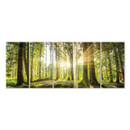 Sunlit Forest Green Landscape Canvas Print