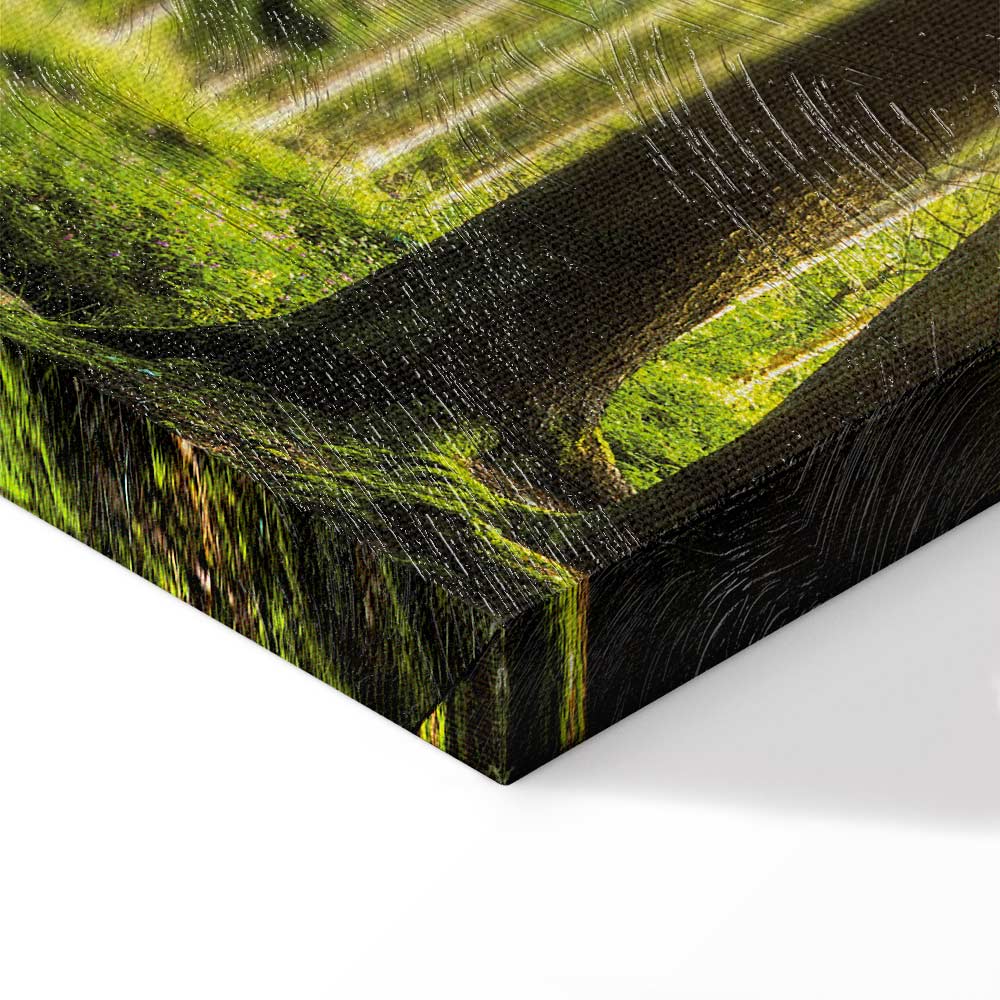 Sunlit Forest Green Landscape Canvas Print