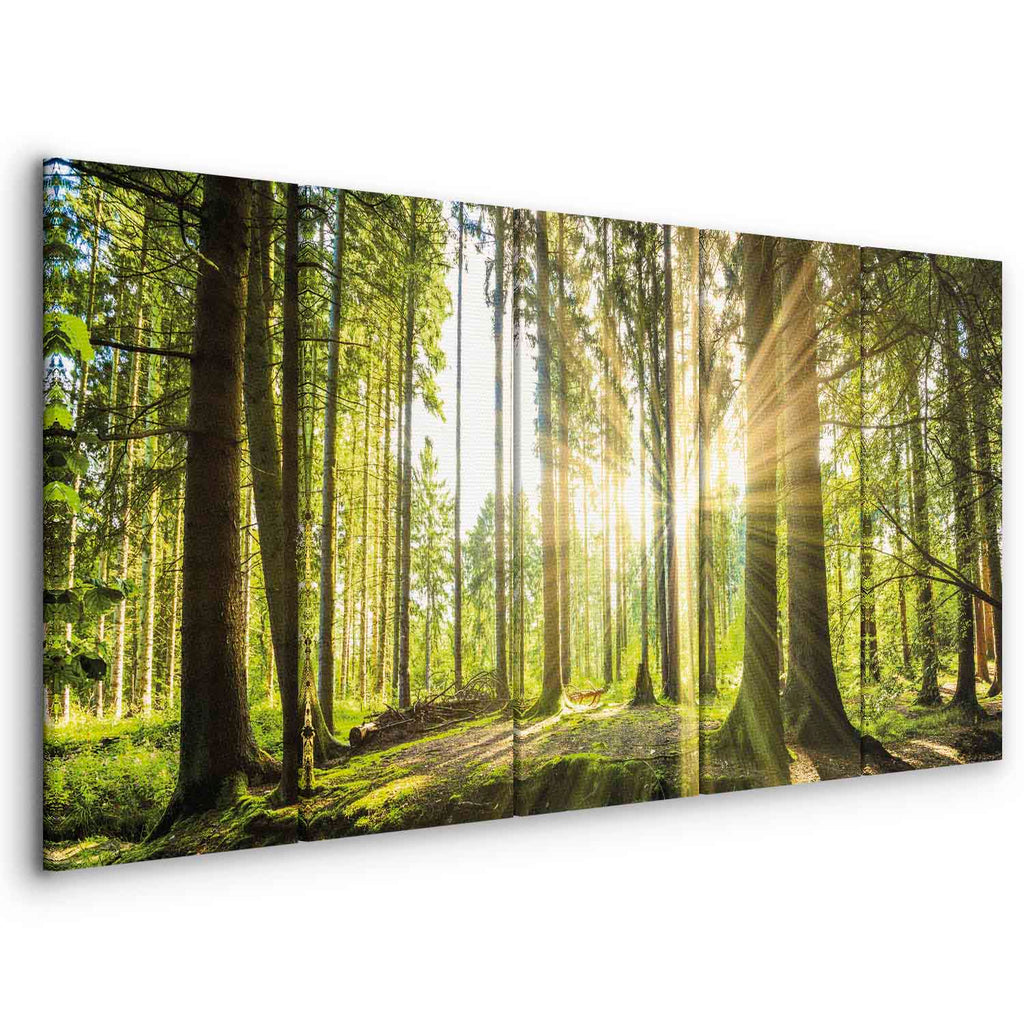 Sunlit Forest Green Landscape Canvas Print