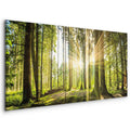 Sunlit Forest Green Landscape Canvas Print