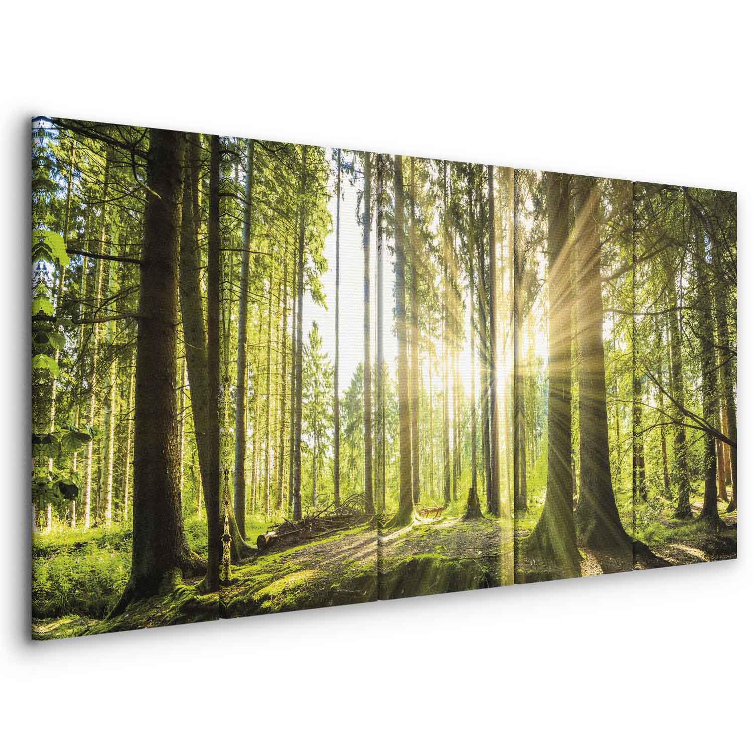 Sunlit Forest Green Landscape Canvas Print