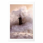Storm Birds Over Water Landscape Poster