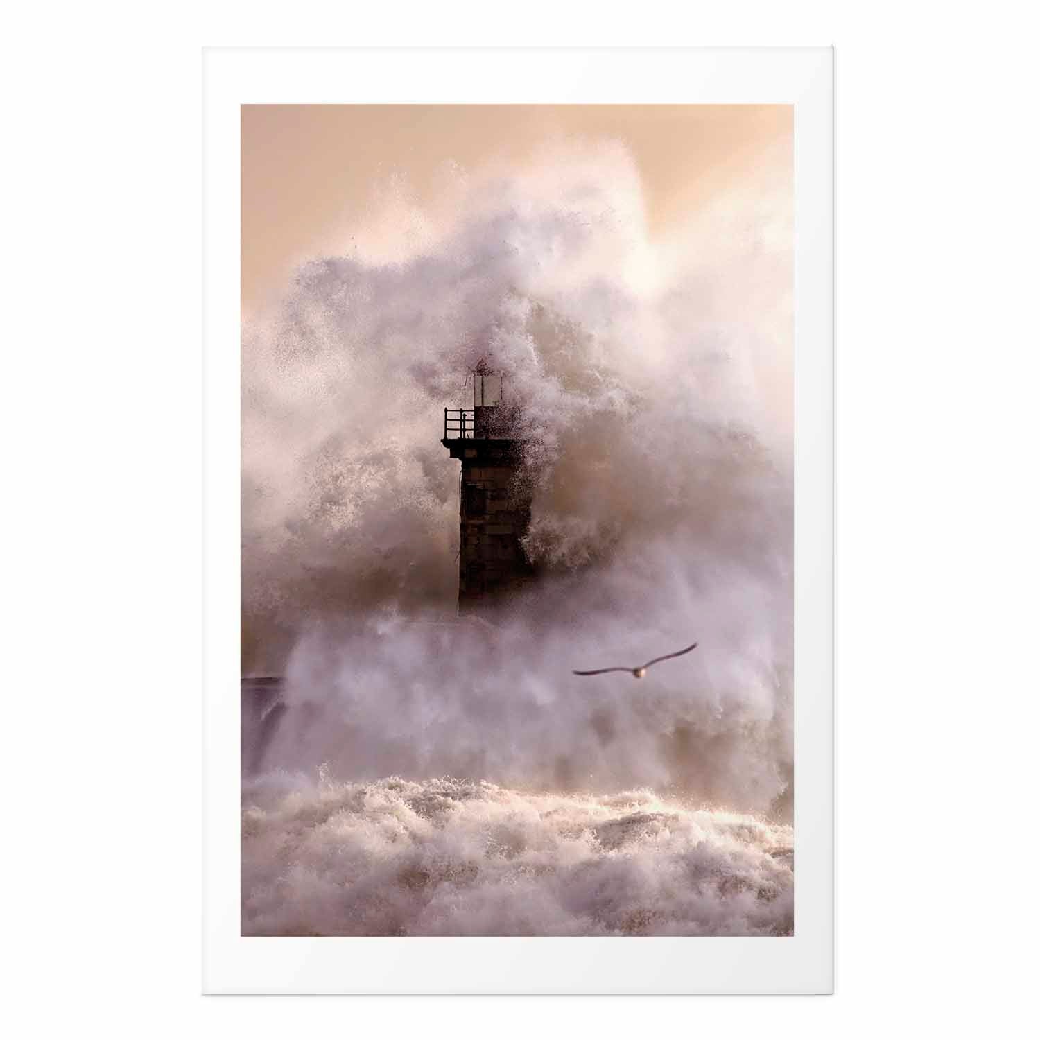 Storm Birds Over Water Landscape Poster