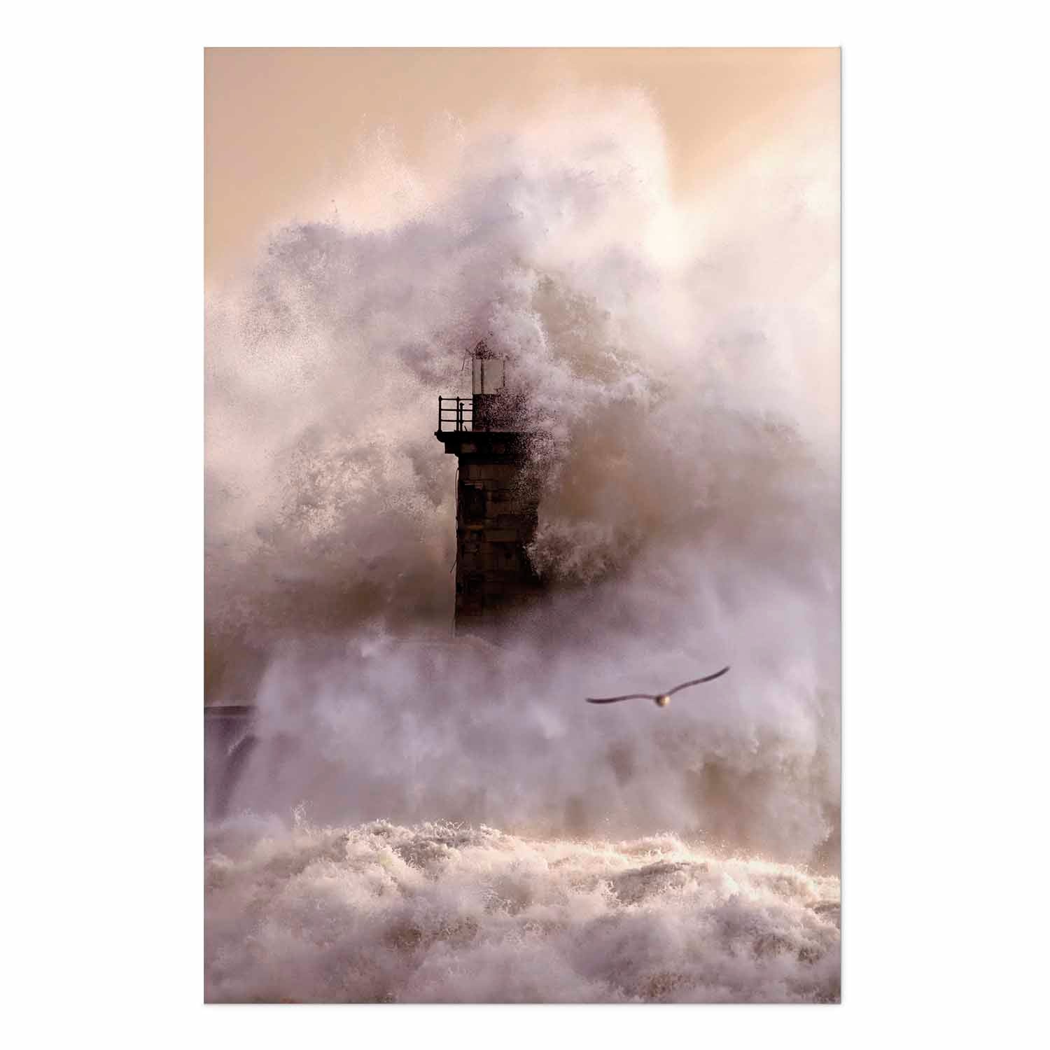 Storm Birds Over Water Landscape Poster
