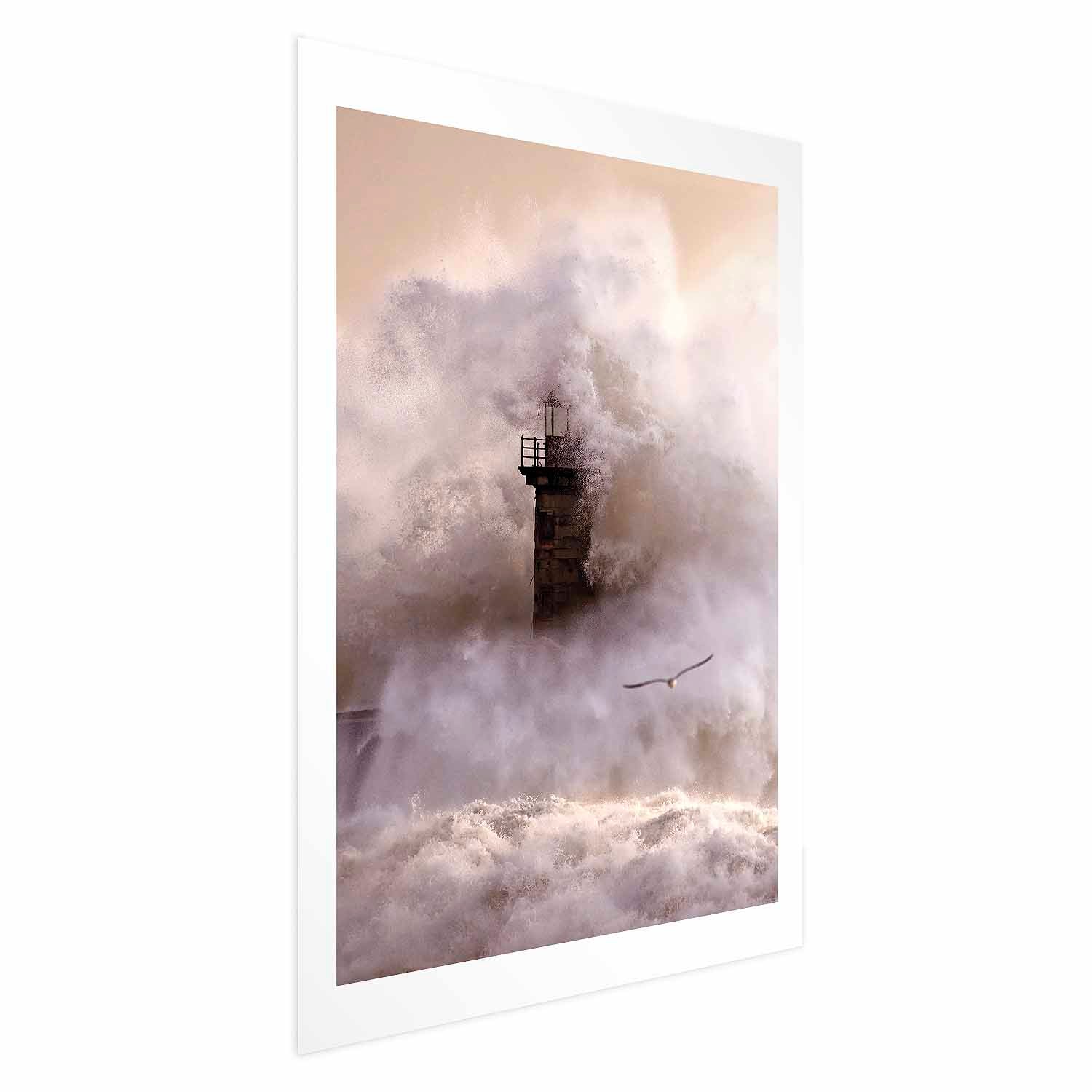 Storm Birds Over Water Landscape Poster