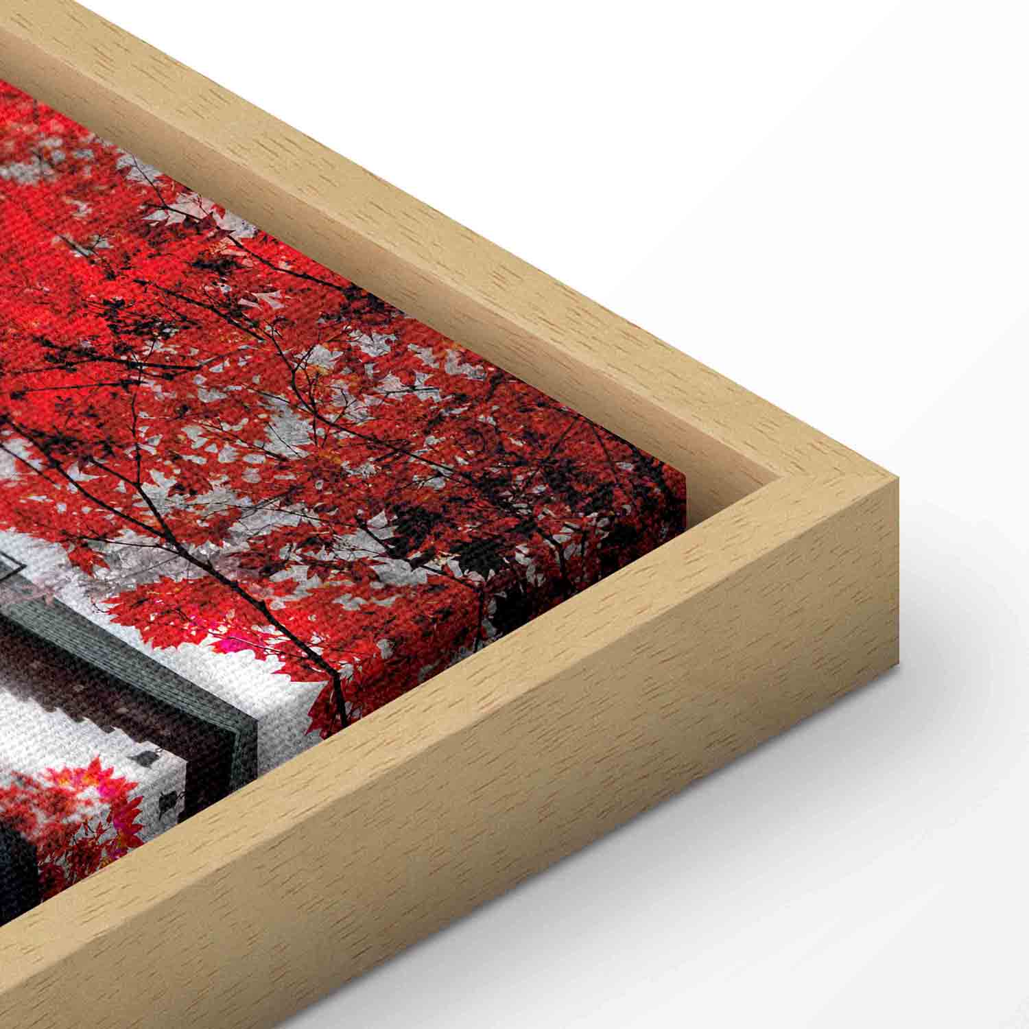 Japanese Mountain Panorama Landscape Canvas Print