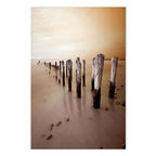 Autumn Coastal Outflow Landscape Canvas Print