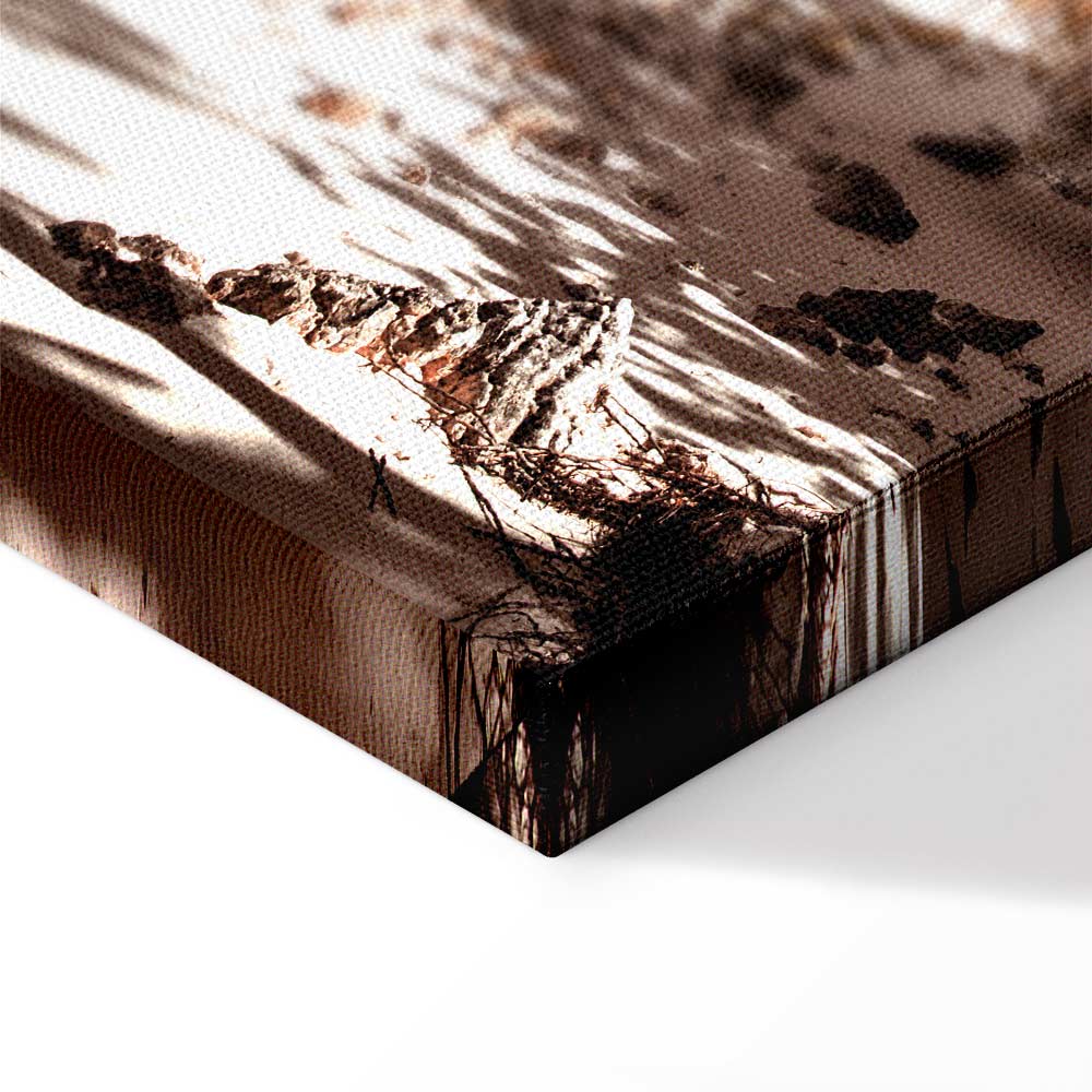 Palm Shadow Tropical Canvas Print