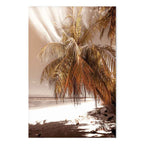 Palm Shadow Tropical Canvas Print