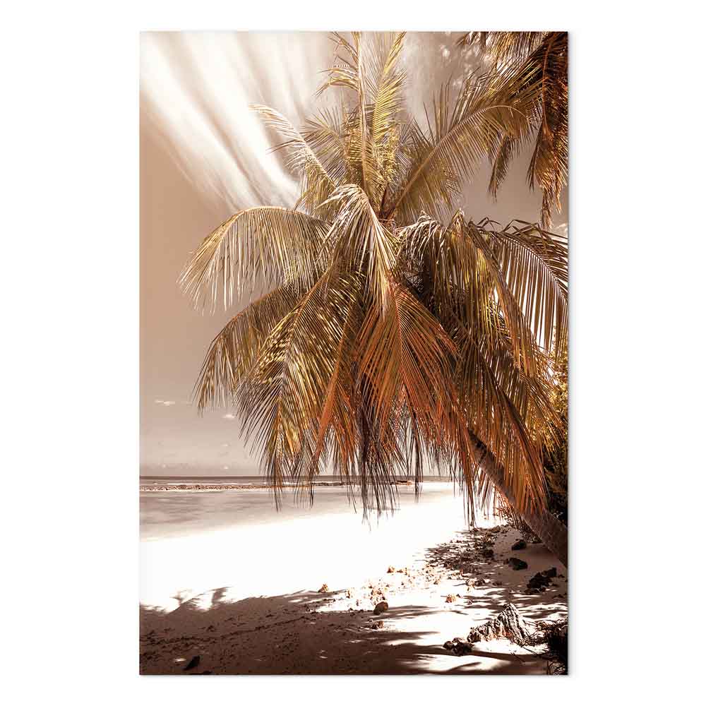Palm Shadow Tropical Canvas Print