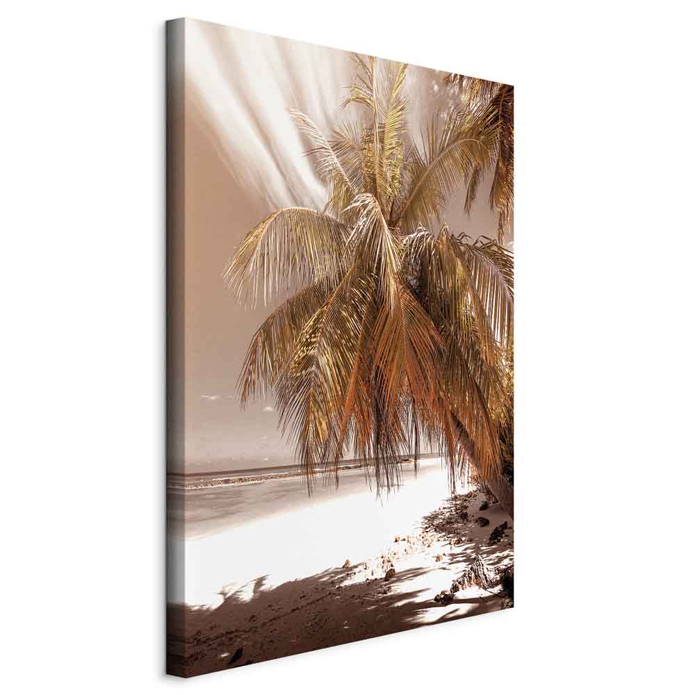 Palm Shadow Tropical Canvas Print