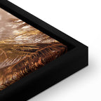 Palm Shadow Tropical Canvas Print