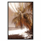 Palm Shadow Tropical Canvas Print