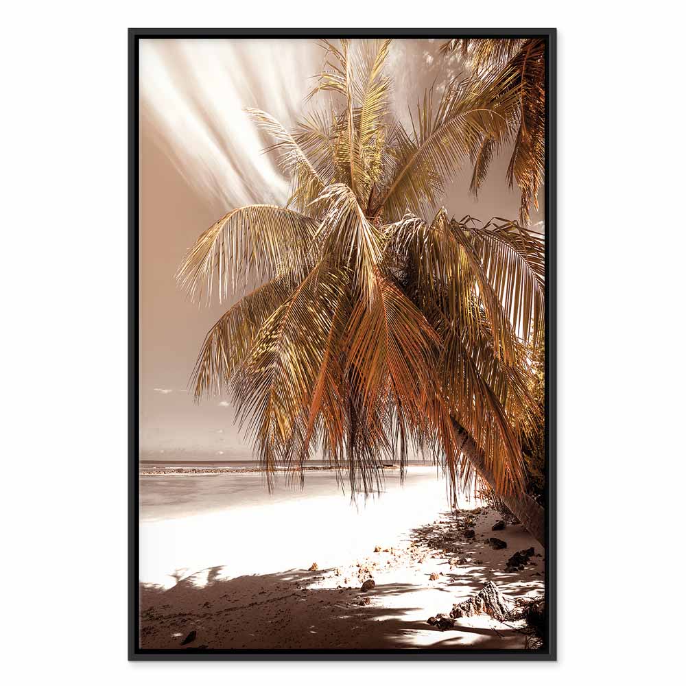 Palm Shadow Tropical Canvas Print