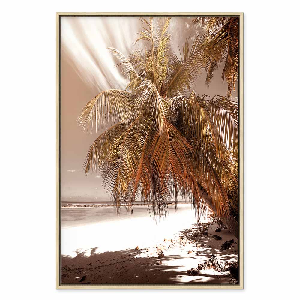 Palm Shadow Tropical Canvas Print