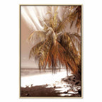 Palm Shadow Tropical Canvas Print