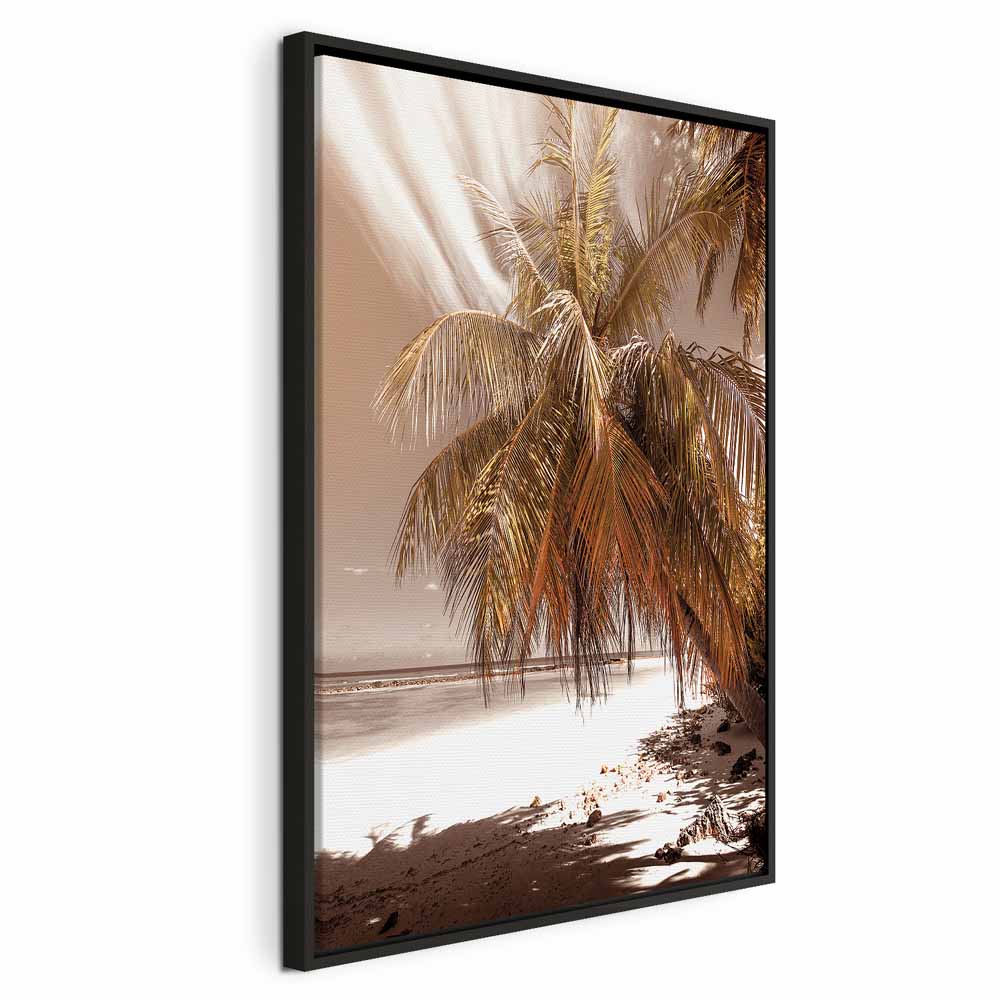 Palm Shadow Tropical Canvas Print