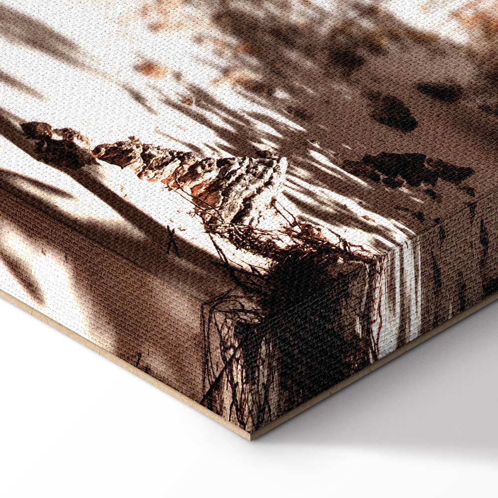 Palm Shadow Tropical Canvas Print