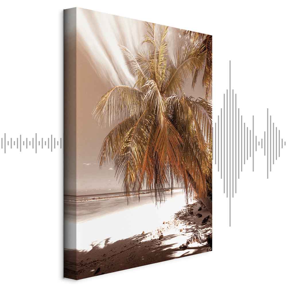 Palm Shadow Tropical Canvas Print