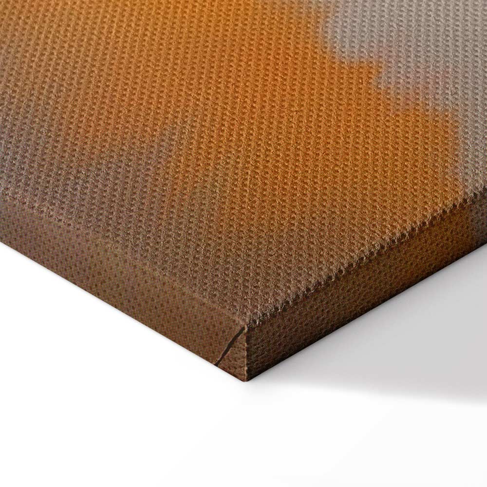 Abstract Birds Sky Canvas Print