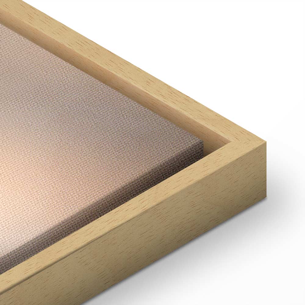 Abstract Birds Sky Canvas Print