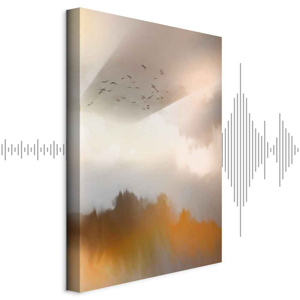 Abstract Birds Sky Canvas Print