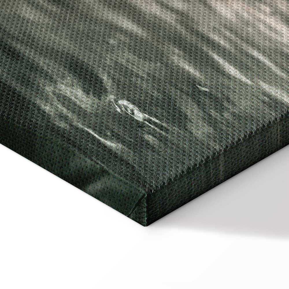 Ice Statues Nature Canvas Print