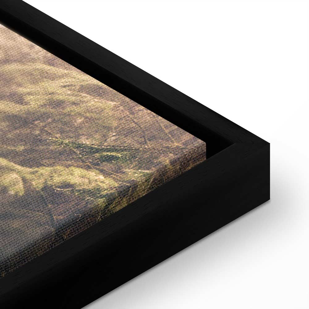 Misty Forest Path Landscape Canvas Print