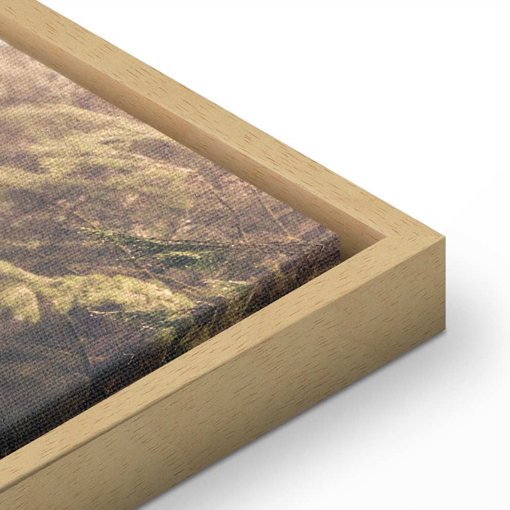 Misty Forest Path Landscape Canvas Print