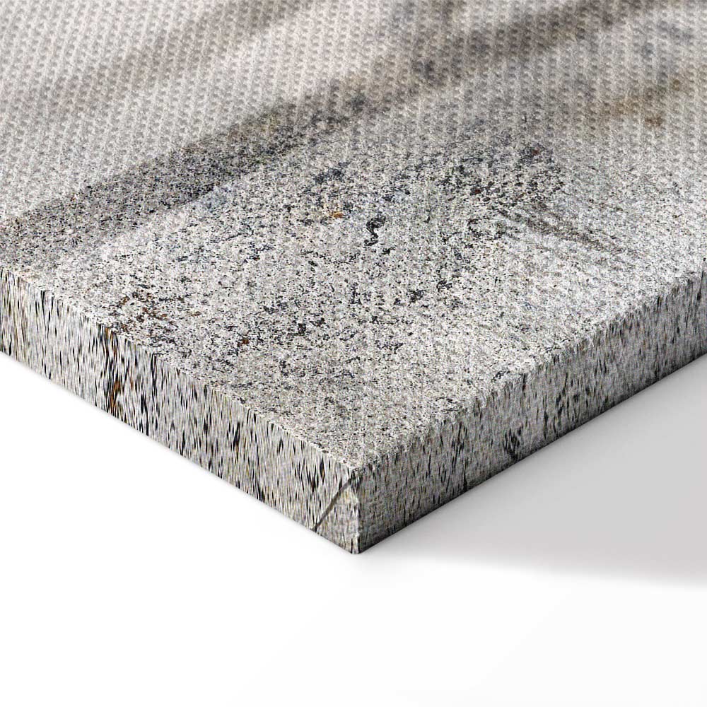 Winter Birds Forest Landscape Canvas Print