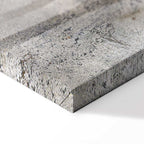 Winter Birds Forest Landscape Canvas Print