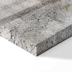 Winter Birds Forest Landscape Canvas Print