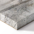 Winter Birds Forest Landscape Canvas Print