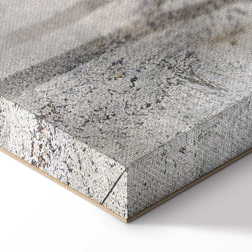 Winter Birds Forest Landscape Canvas Print