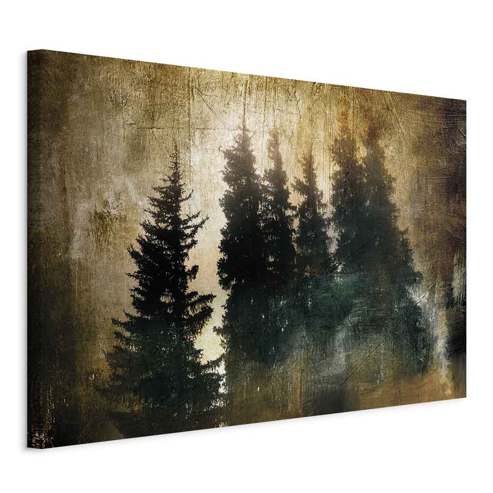 Stately Spruce Forest Landscape Canvas Print