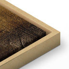 Stately Spruce Forest Landscape Canvas Print