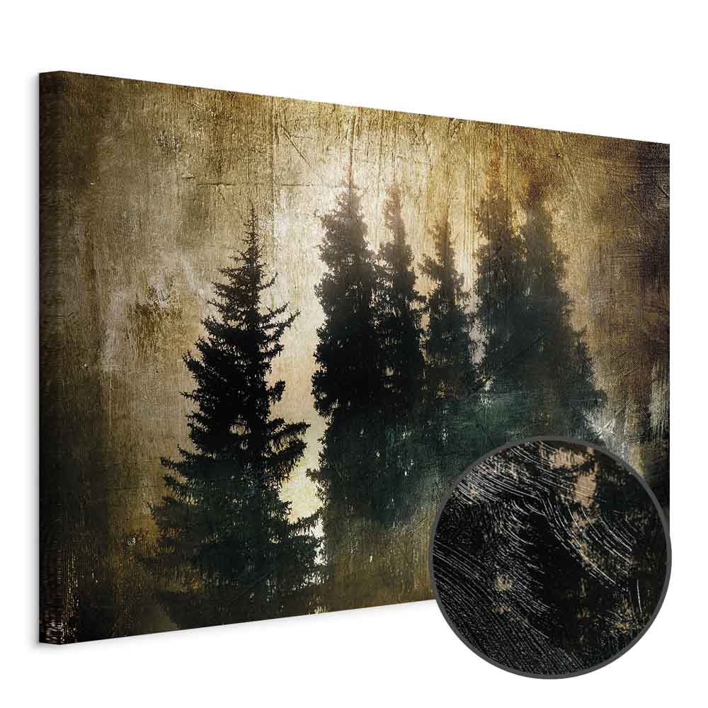 Stately Spruce Forest Landscape Canvas Print