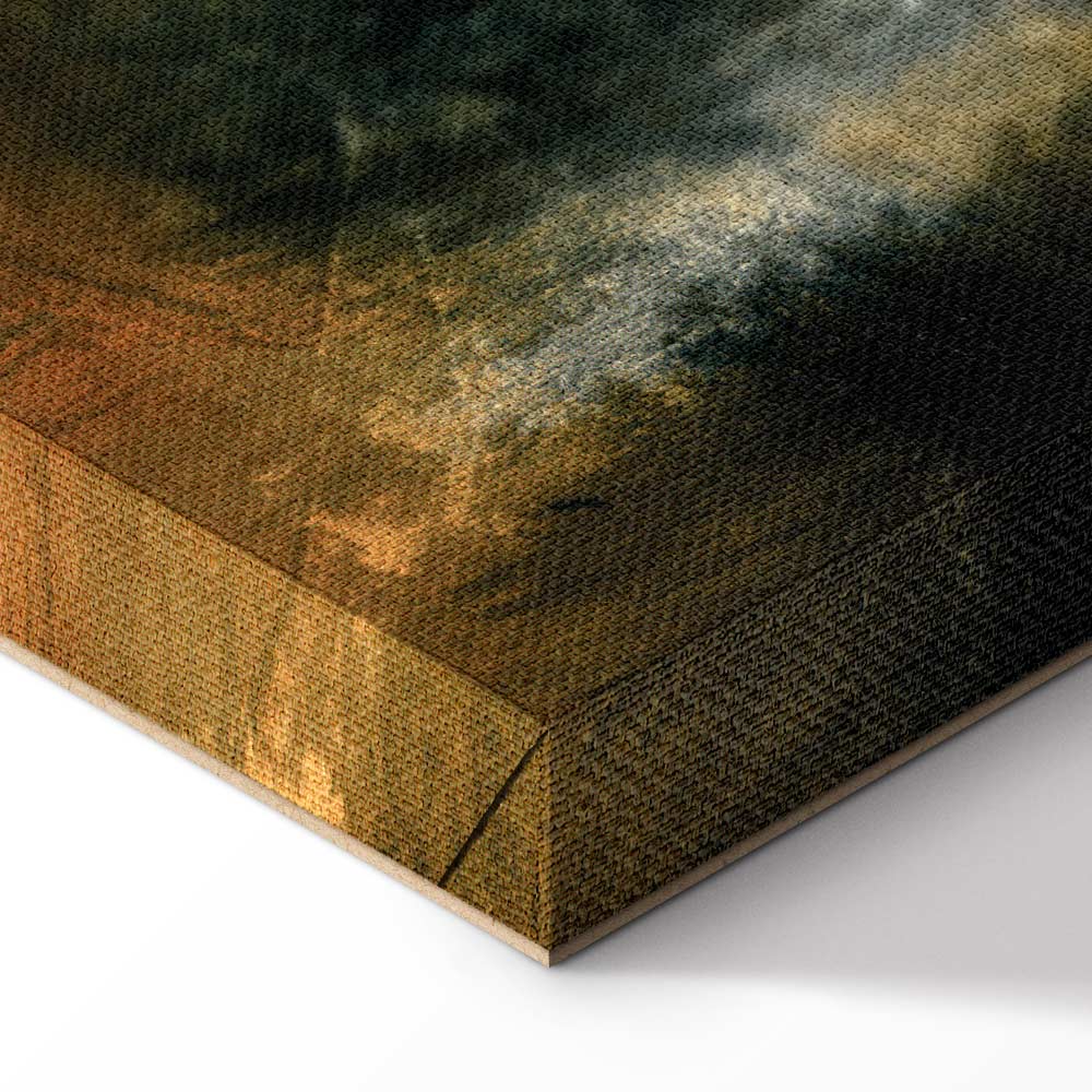 Stately Spruce Forest Landscape Canvas Print