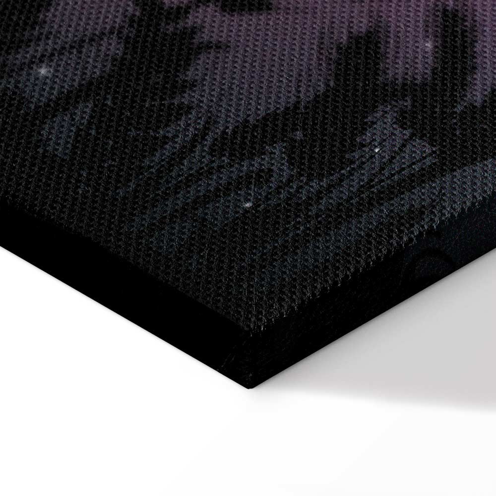 Starry Country Night Sky Landscape Canvas Print