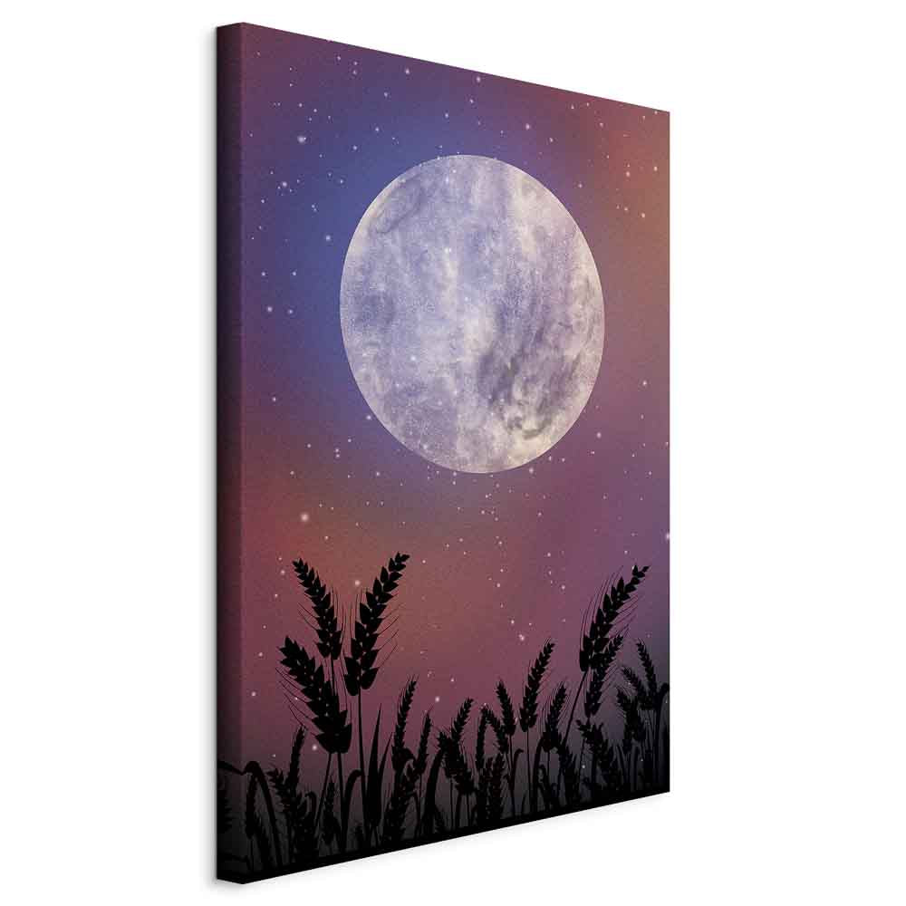 Starry Country Night Sky Landscape Canvas Print