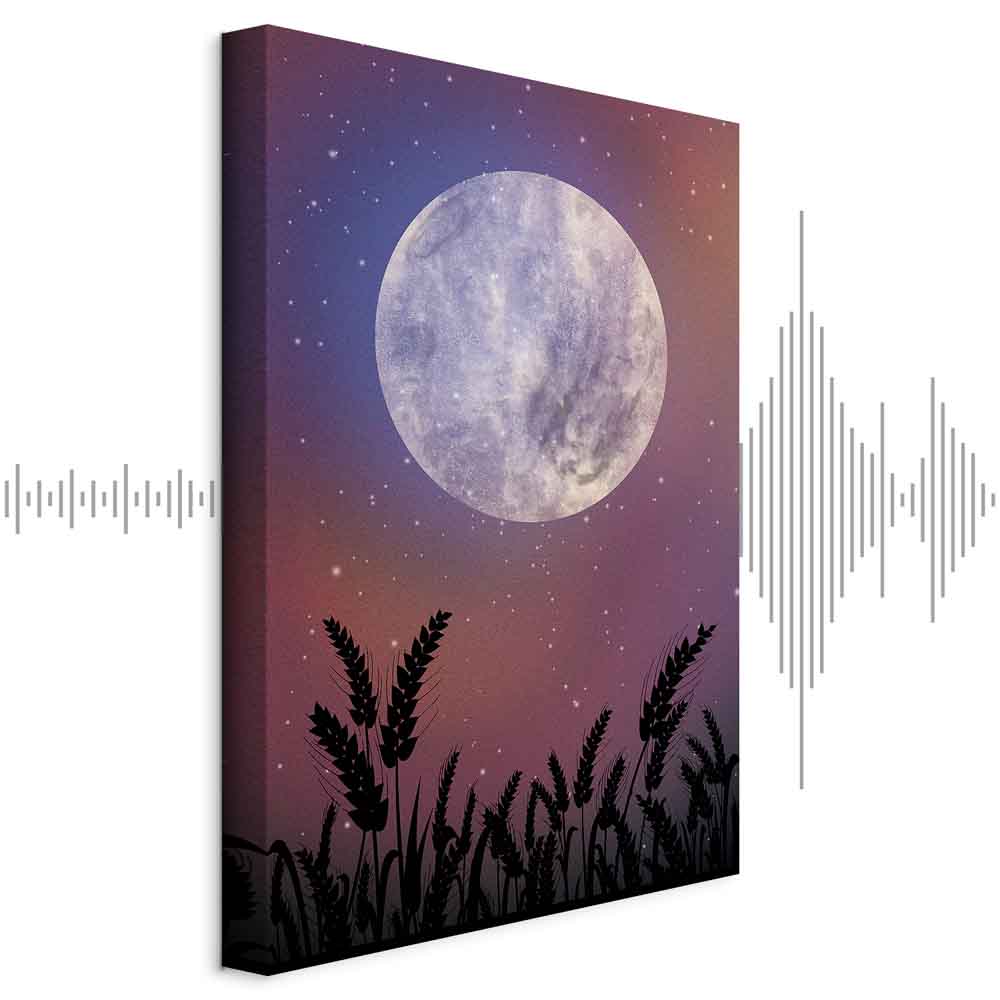 Starry Country Night Sky Landscape Canvas Print