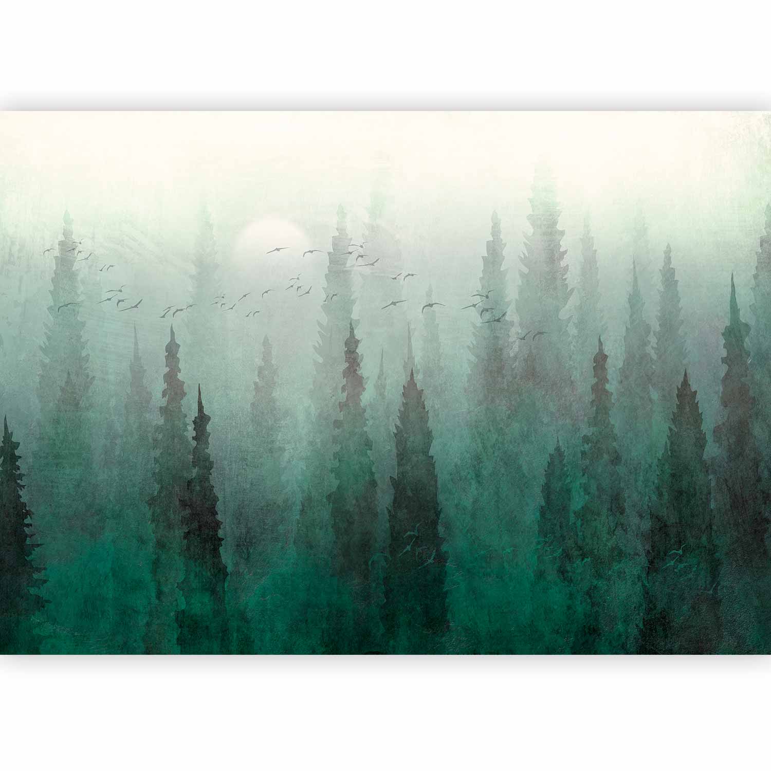 Wall Mural - Bird's eye perspective Landscape green forest mist