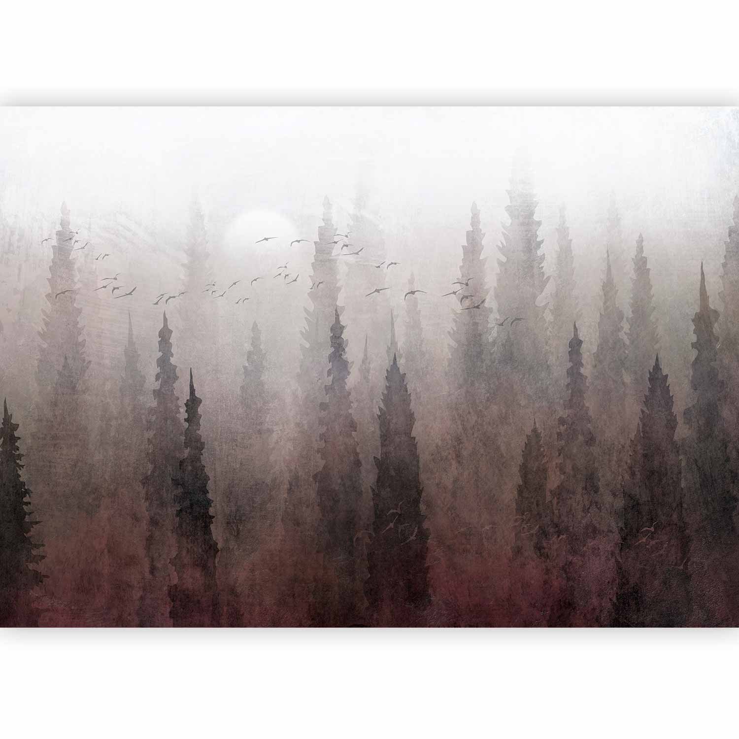 Wall Mural: Bird's Flight over Treetops in Fog Landscape