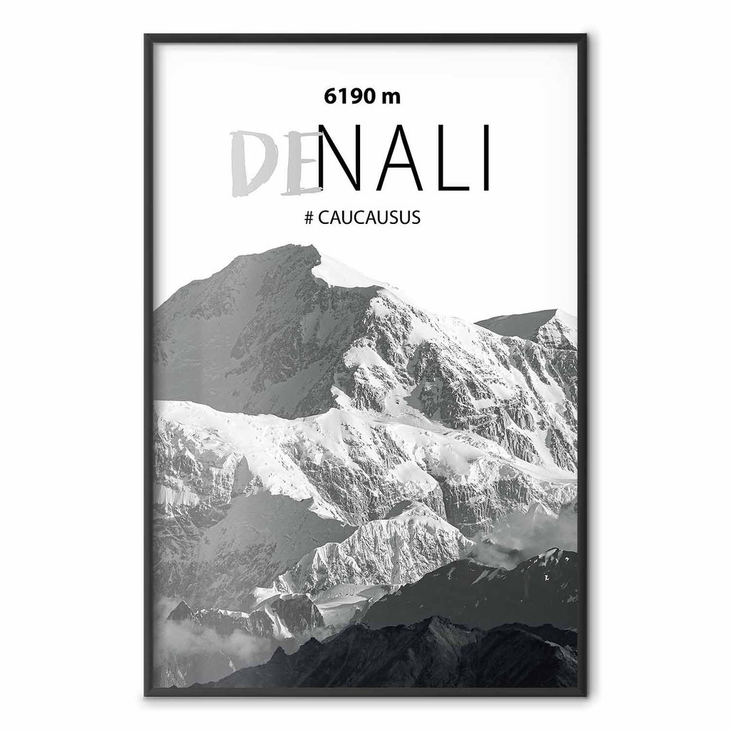 Denali Mountain Peak Landscape Poster