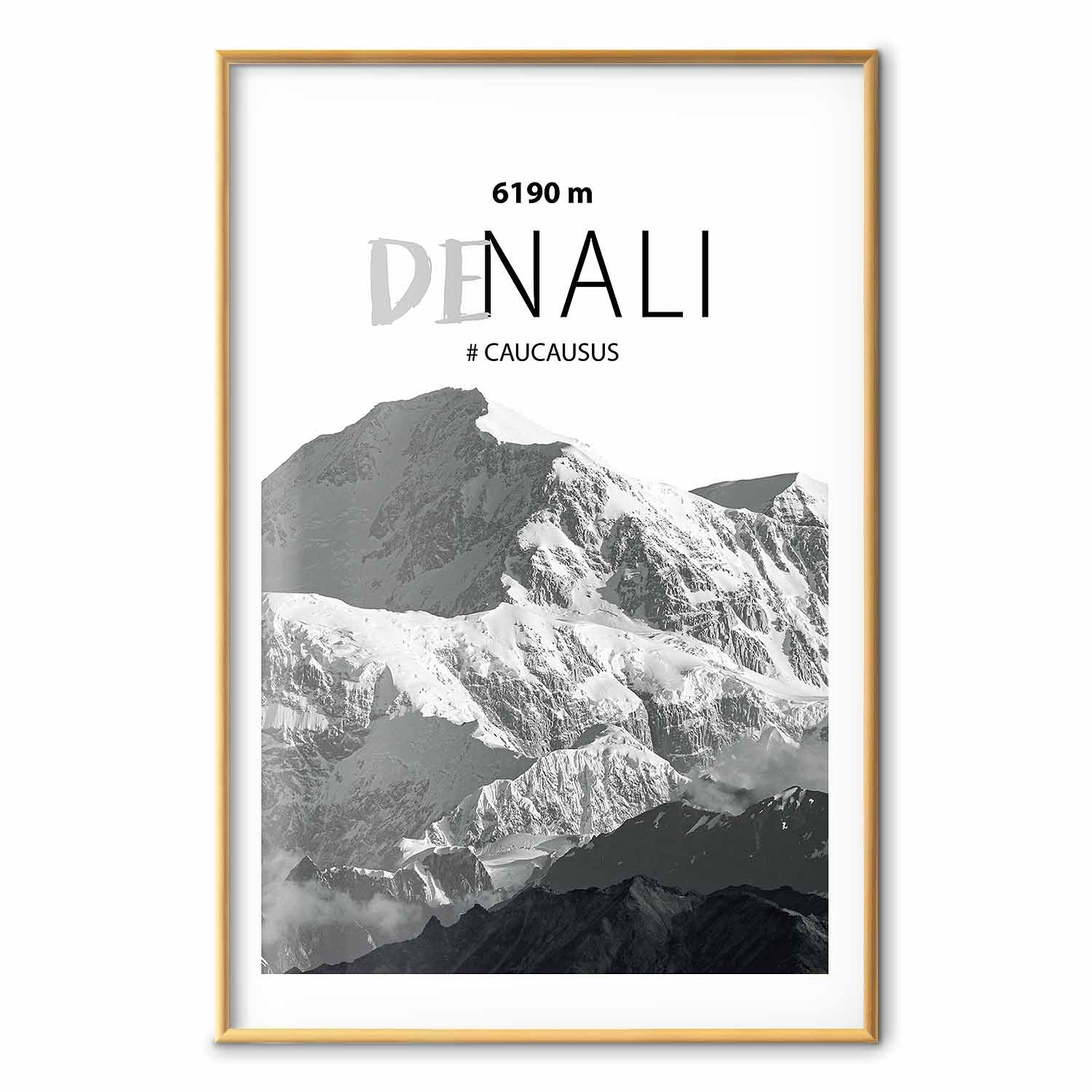 Denali Mountain Peak Landscape Poster