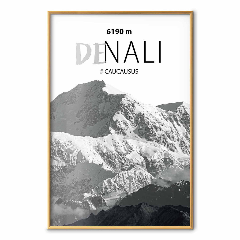 Denali Mountain Peak Landscape Poster