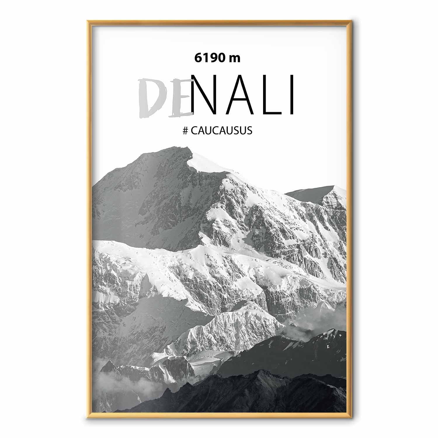 Denali Mountain Peak Landscape Poster