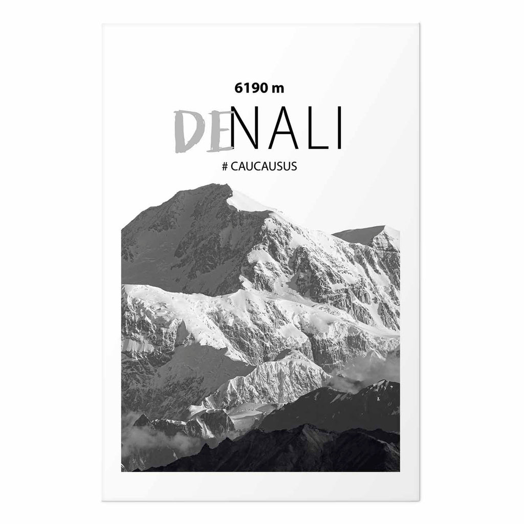 Denali Mountain Peak Landscape Poster