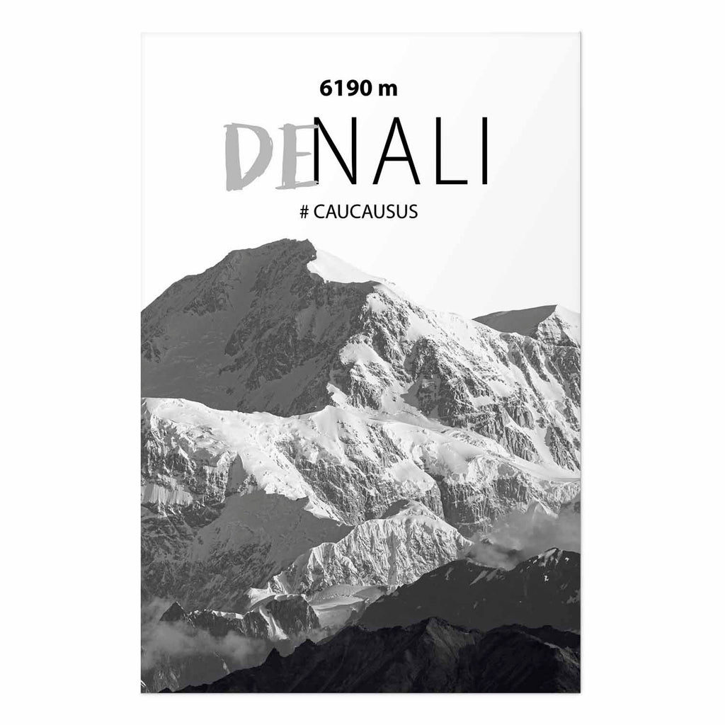 Denali Mountain Peak Landscape Poster