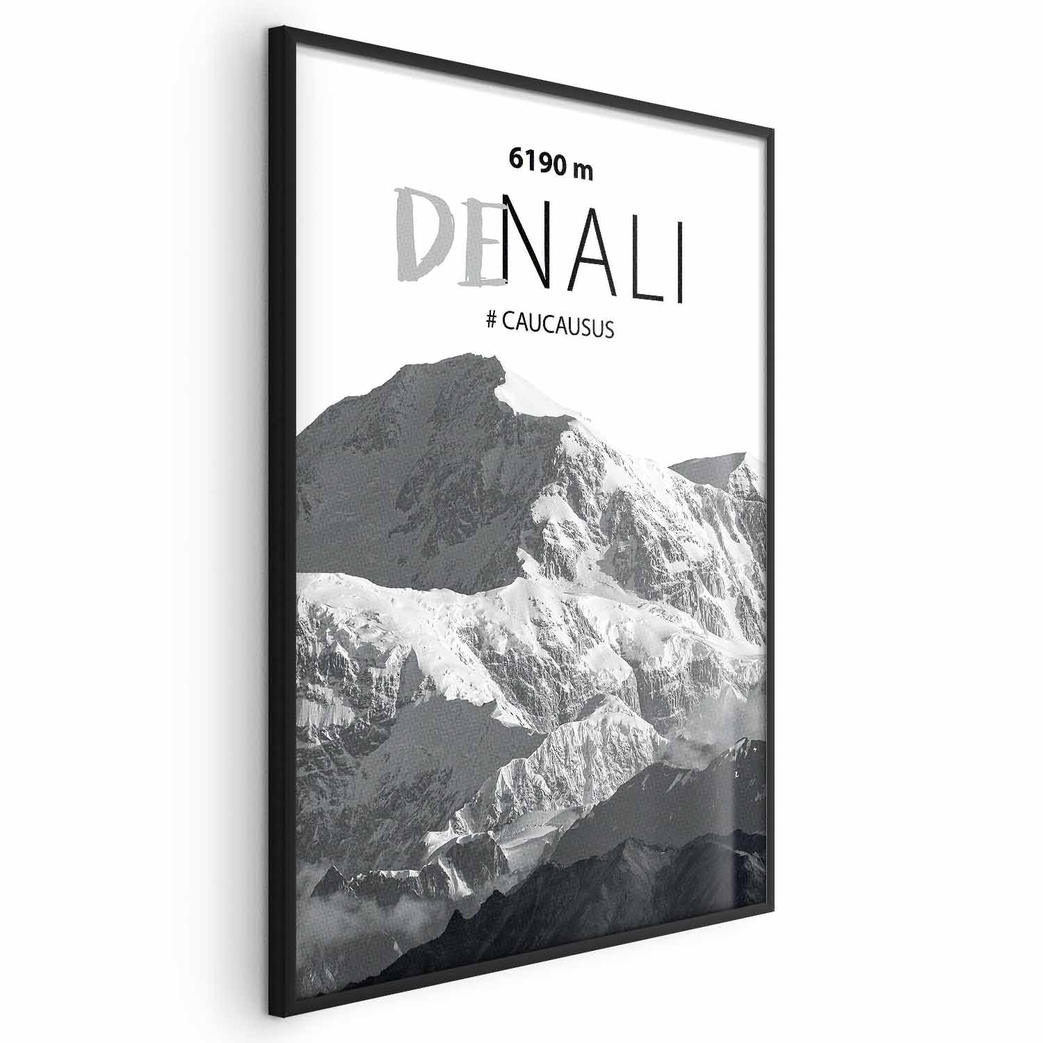 Denali Mountain Peak Landscape Poster